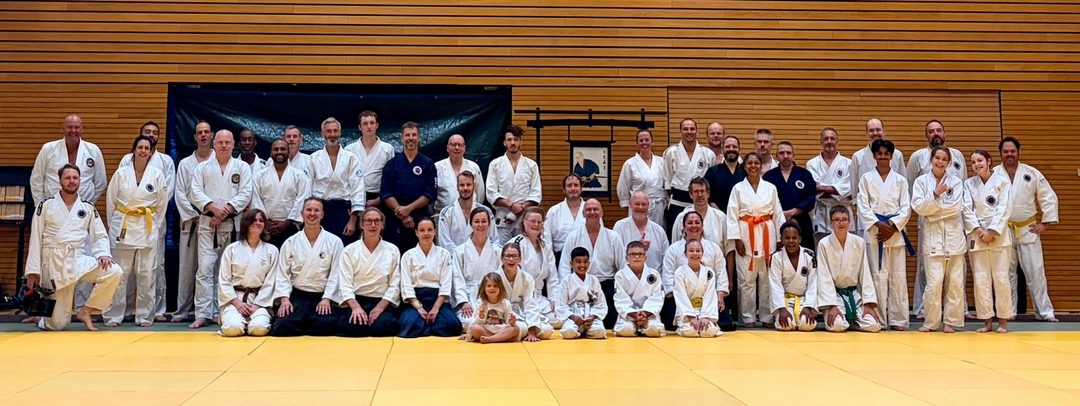 Inspirerende IMAF Aiki stage in Hoogvliet (Rotterdam)